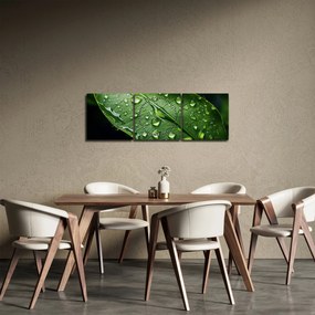 Kép - Levél eső után (órával) (90x30 cm)