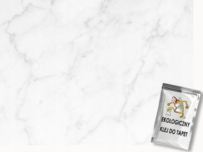 Fotótapéta Flizelina Dekoráció Kő Ásvány Fehér Márvány 250x175 ragasztó
