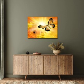 Kép - Sárga pillangó virággal (70x50 cm)