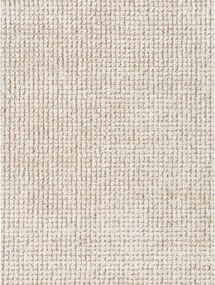 Krémszínű kézi szövésű gyapjú szőnyeg 160x230 cm Greenwich – Ted Baker