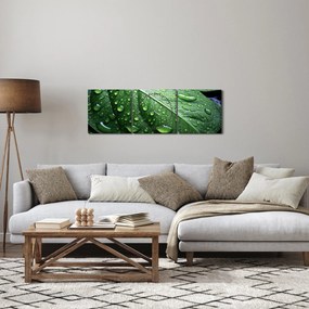 Kép - Részlet levél eső után (órával) (90x30 cm)