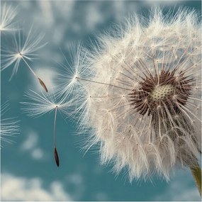 Fotótapéta Flizelin az Otthon szobájába 3D Könnyű éteriség 250x250 Ragasztó