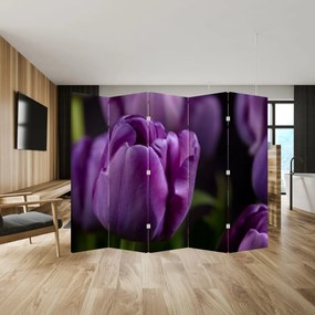 Paraván - Tulipán vírága (210x170 cm)