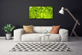 Vászonkép falra Elhagyja Plant 140x70 cm