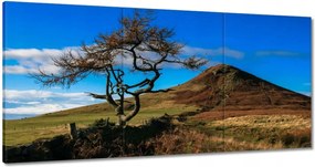 Vászonkép 120x60 Elpusztíthatatlan fa