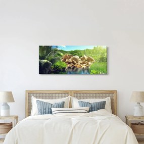 A tó képe a Seychelle-szigetek dzsungelében (120x50 cm)