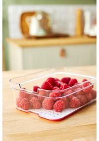 Műanyag hűtőszekrény rendszerező Cauma – Rotho