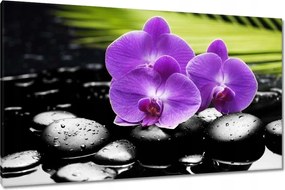 Vászonkép 120x70 Lila orchideák