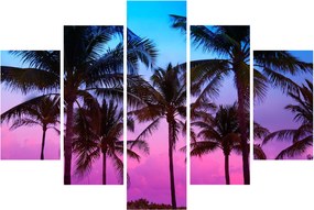 Kép - Pálmafák Miamiban (150x105 cm)