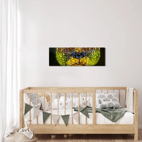 Részletes kép a rovar szemről (órával) (90x30 cm)