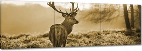 Vászonkép 120x40 Szarvas az erdőben