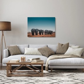 Kép - Elefántok indulása (üvegen) (70x50 cm)