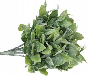 Puszpáng ág olajzöld sűrű 20cm