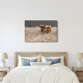 Kép - Skót tehén a virágban (90x60 cm)