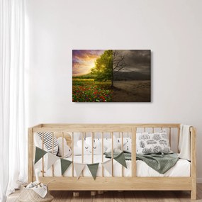 Kép - Életciklus (90x60 cm)