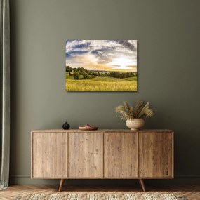 Tájkép (70x50 cm)