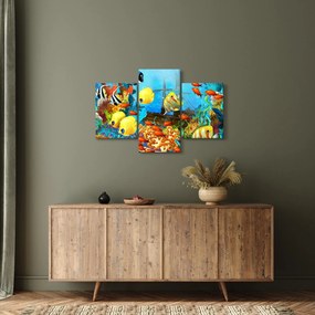 Kép - színes korallzátony (90x60 cm)
