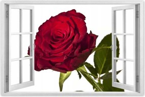 Poszterek 90x60 Vörös rózsa