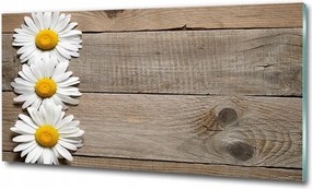 Fotó kép edzett üveg Olajfa 125x50