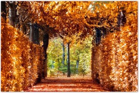 Poszterek 120x80 Tájkép Látvány