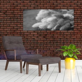 Kép - nyúlfarknyi fű az asztalon (120x50 cm)