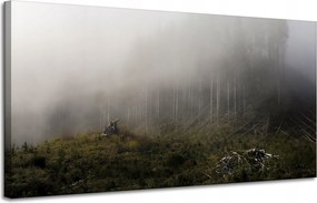 Vászonkép Természet Köd Megsemmisült erdő 120x60