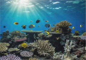 Stílusos Dekoratív Fotótapéta Flizelin Víz alatti világ 208x146 Ragasztó