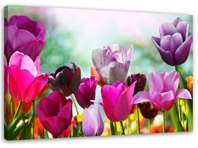 Gario Kép Színes tulipánok a réten Méretek: 100 x 70 cm, Kivitelezés: Vászonkép