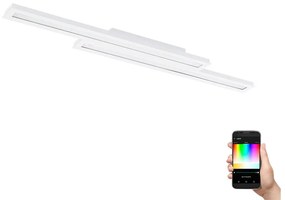 Eglo Eglo 99412 - LED RGB fényerő-szabályozós mennyezeti lámpa SALITERAS-C 2xLED / 10W / 230V EG99412