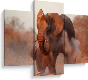 Kép - Nagy afrikai elefánt (90x60 cm)
