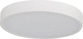 Pandino LED általános mennyezeti lámpa