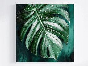 Poszter Természet Levél Monster Filodendron Víz Harmat 80x80