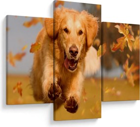 Kép - Golden Retriever (90x60 cm)