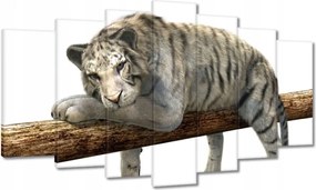 Vászonkép 140x80 Fehér tigris a gerendán