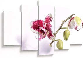 Orchidea virág képe (150x105 cm)