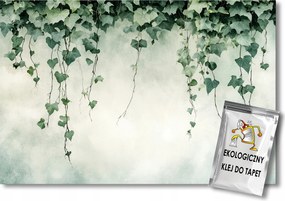 Fotótapéta Flizelina Természet Növények Borostyán Kúszó Levelek 300x210 ragasztó