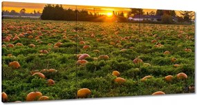 Festmények 120x60 Tájkép Látvány