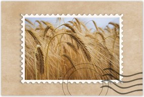 Poszterek 120x80 Kalászok gabonával Gabonafélék