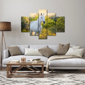Egy fehér ló képe a réten (150x105 cm)