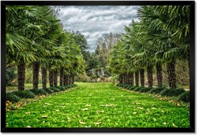 Poszterek keretben 60x40 Tájkép