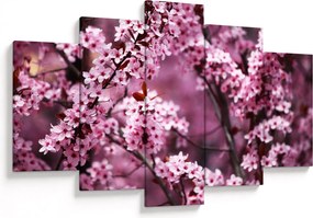 Kép - Rózsaszín sakura (150x105 cm)