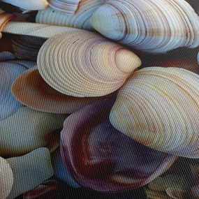 Kagyló képe (120x50 cm)