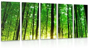 5-részes kép friss zöld erdő