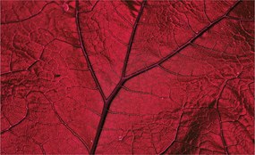 Flizelin fotótapéta Piros levél makró damil részletek 312x219 +ragasztó