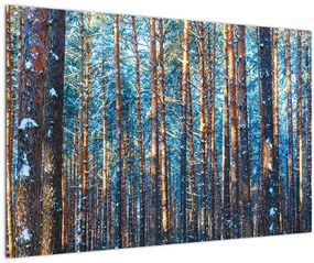 Kép - téli erdő (90x60 cm)