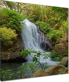 Vászonkép 80x80 Vízesés Tájképek