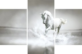 Kép - Fehér ló (90x60 cm)