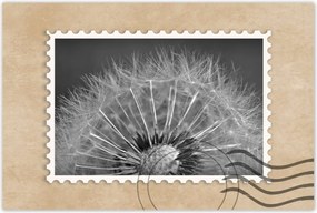 Poszterek 120x80 Pitypang Virág Virágok