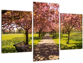 Kép - cseresznye ültetvény (90x60 cm)
