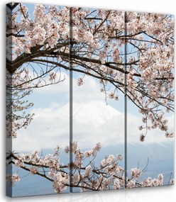 Vászonkép 90x100 Sakura cseresznyevirágzás Japán Fuji tavasz táj természet